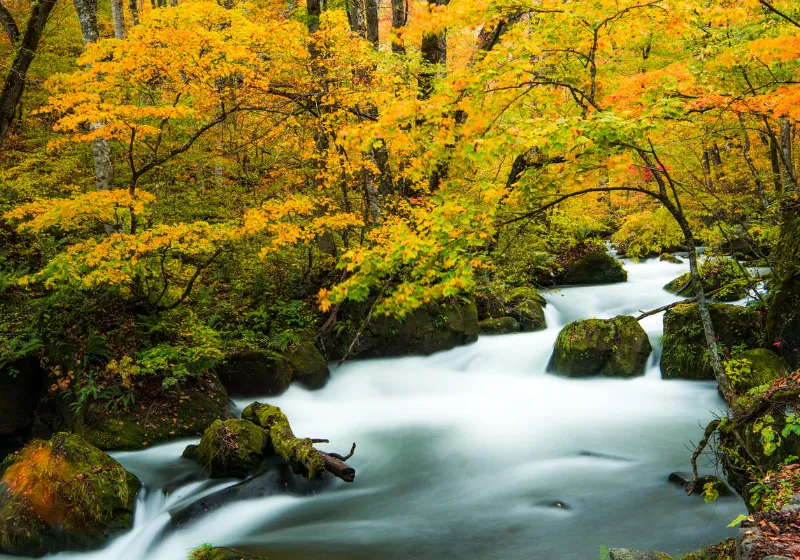 青森県のリゾートバイト完全ガイド｜自然と文化に触れながら働ける人気エリア＆施設を徹底紹介！